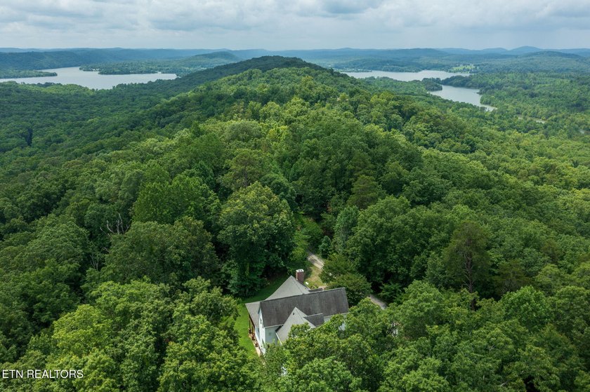 Private Estate on 20+ Acres | 4-Bedroom Home with Bonus Room - photo 4