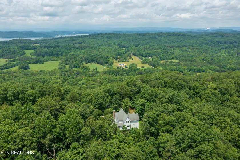 Private Estate on 20+ Acres | 4-Bedroom Home with Bonus Room - photo 6