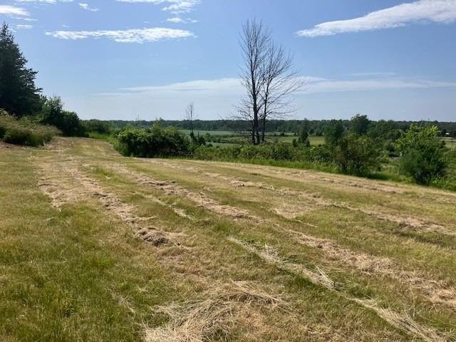 Door County acreage lot with a nature preserve and buildable - photo 2