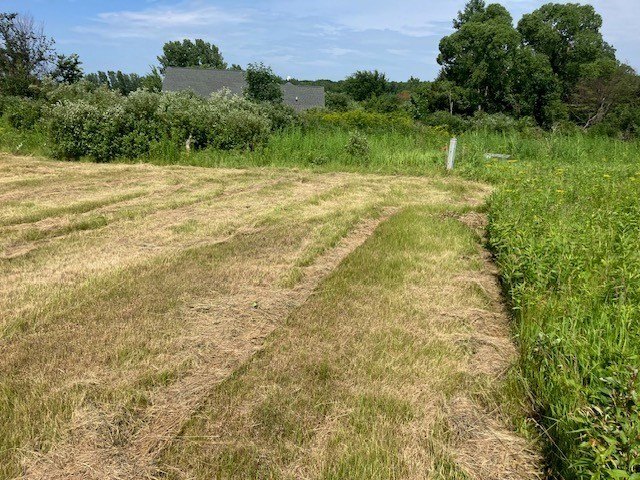 Door County acreage lot with a nature preserve and buildable - photo 3