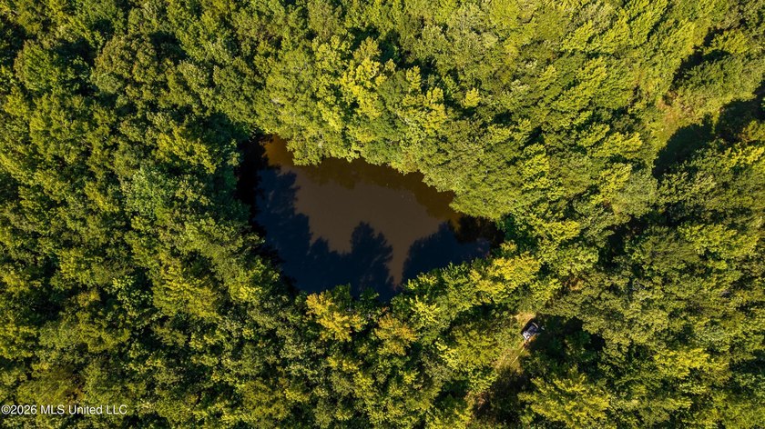 +/-288 Acres - Holmes County, MS | Prime Hunting &amp; Timber Tract - photo 6
