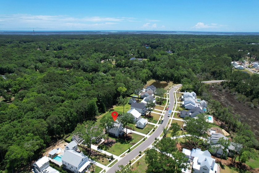 This Southern coastal chic family home is situated on a .4-acre - photo 12