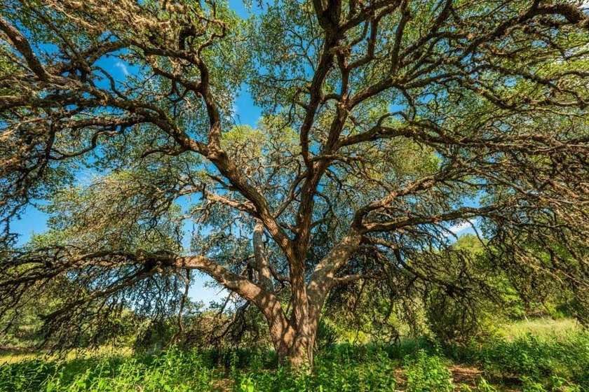 Norco Ranch NW is the northern, 90-acre portion of the 200-acre - photo 13