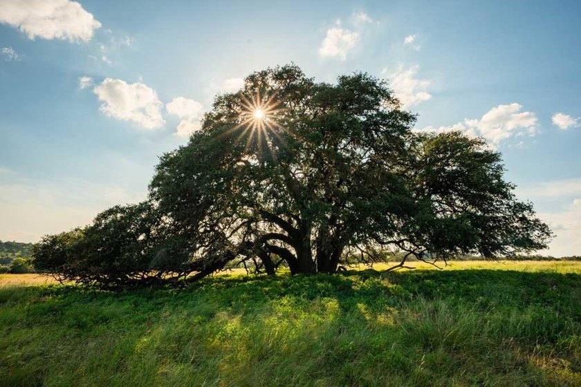 Norco Ranch NW is the northern, 90-acre portion of the 200-acre - photo 15
