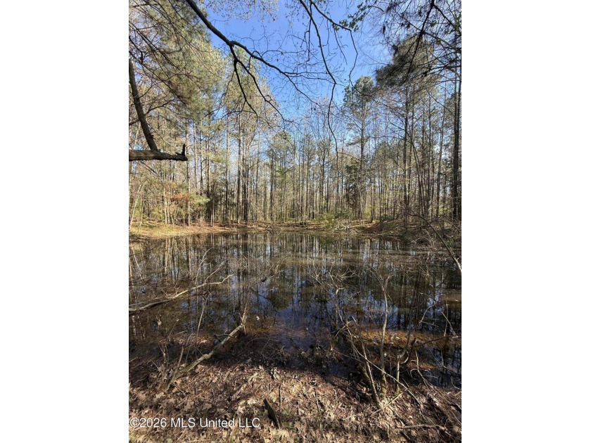Nestled in Lena, Mississippi, this expansive 56-acre property - photo 3