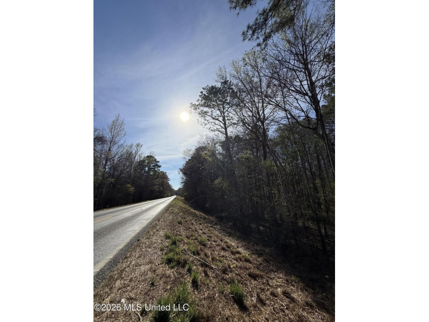 Nestled in Lena, Mississippi, this expansive 56-acre property - photo 9