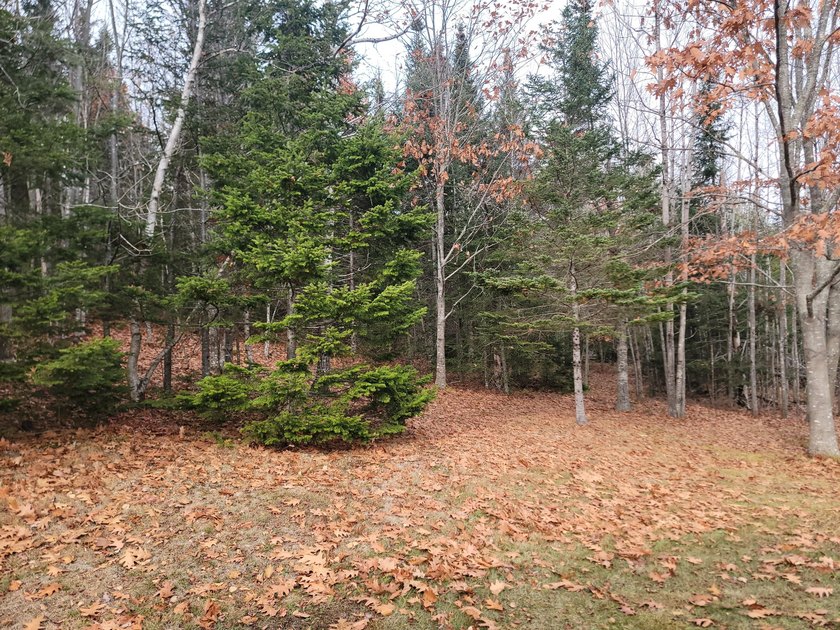 Tucked off a quiet side road near lakes, ponds, and the ocean - - photo 10
