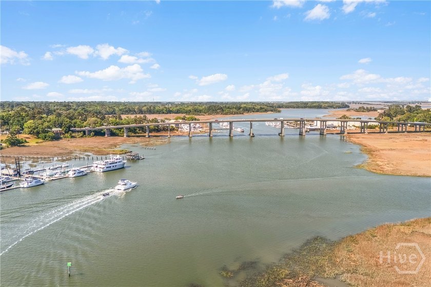 Set along the Wilmington River in Thunderbolt, this one-owner - photo 33