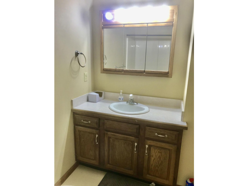 White Pigeon County Ranch. Must see this 3 bedroom 2 bath home - photo 15