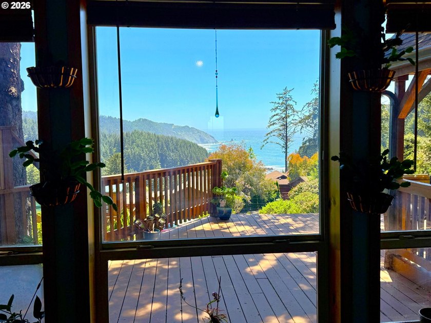 Ocean View Delight! Perched near the top of Whaleshead Beach - photo 16