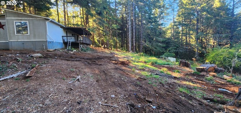 Unlock the potential of this 5.5-acre Brookings property - photo 8