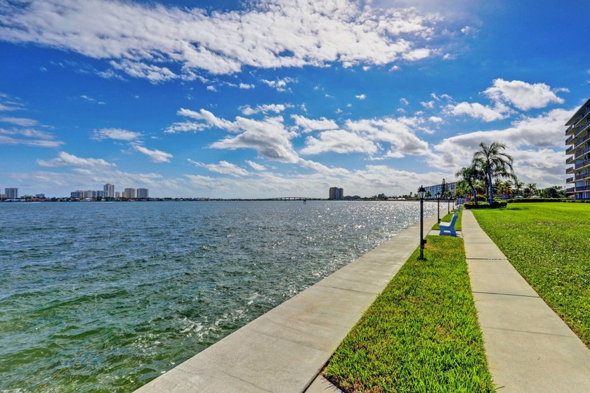 Enjoy breathtaking million-dollar Intracoastal and park views - photo 32