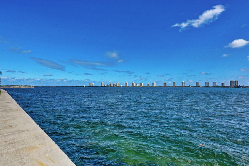 Enjoy breathtaking million-dollar Intracoastal and park views - photo 34