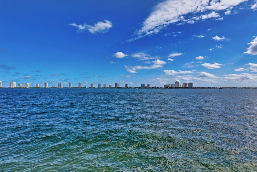 Enjoy breathtaking million-dollar Intracoastal and park views - photo 35