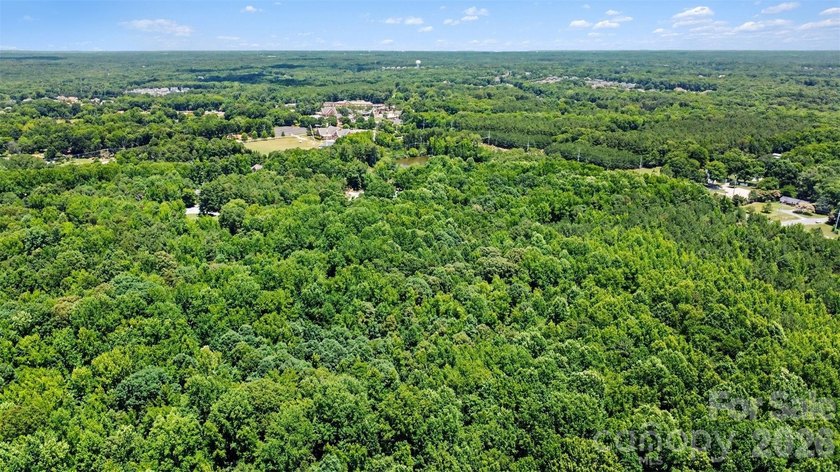 Rare opportunity to own approximately 4.37 acres in one of Union - photo 11