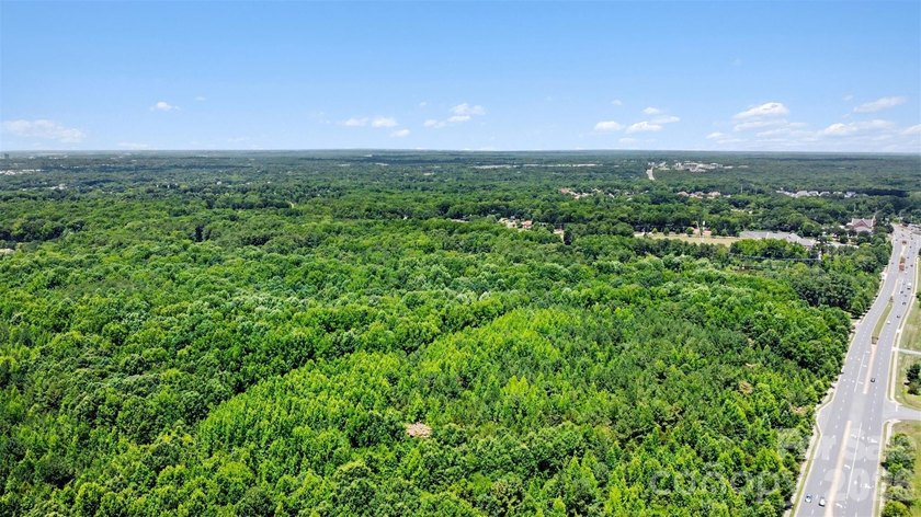Rare opportunity to own approximately 4.37 acres in one of Union - photo 15