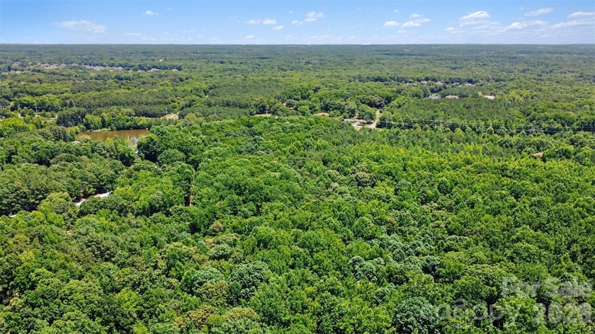 Rare opportunity to own approximately 4.37 acres in one of Union - photo 16