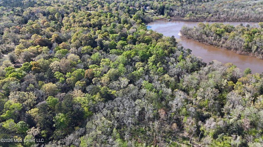 5-acre waterfront property located in the desirable River Bluffs - photo 4