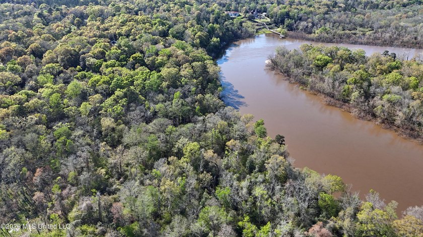 5-acre waterfront property located in the desirable River Bluffs - photo 5