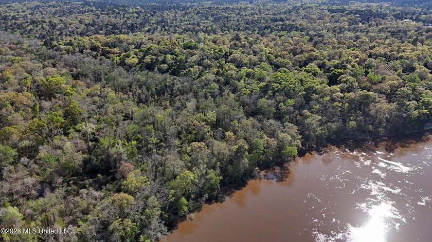 5-acre waterfront property located in the desirable River Bluffs - photo 6
