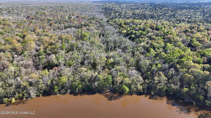 5-acre waterfront property located in the desirable River Bluffs - photo 7