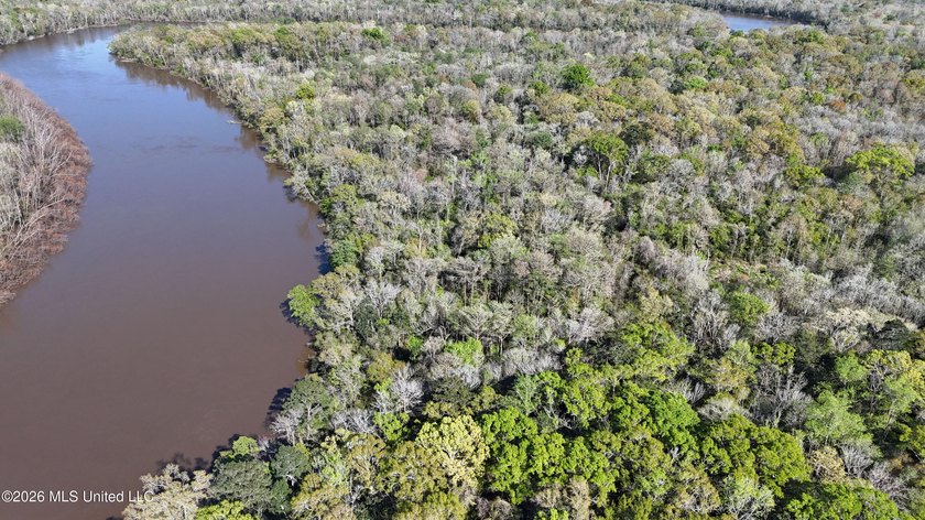 5-acre waterfront property located in the desirable River Bluffs - photo 9