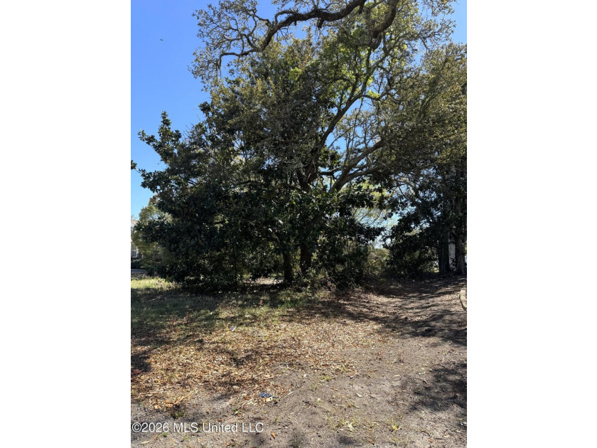 Prime commercial lot located in the heart of downtown Pascagoula - photo 3