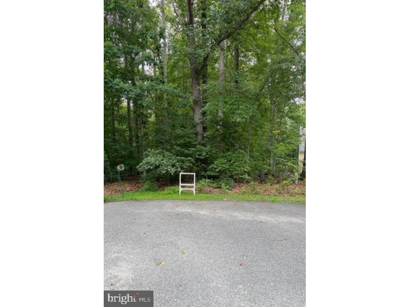 This 2.5 acre wooded property a gem! Enjoy this water access lot - photo 4