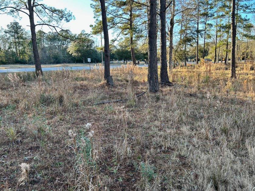 1.1 acre lot in desirable Pinopolis on Fanny Branch on Lake - photo 11