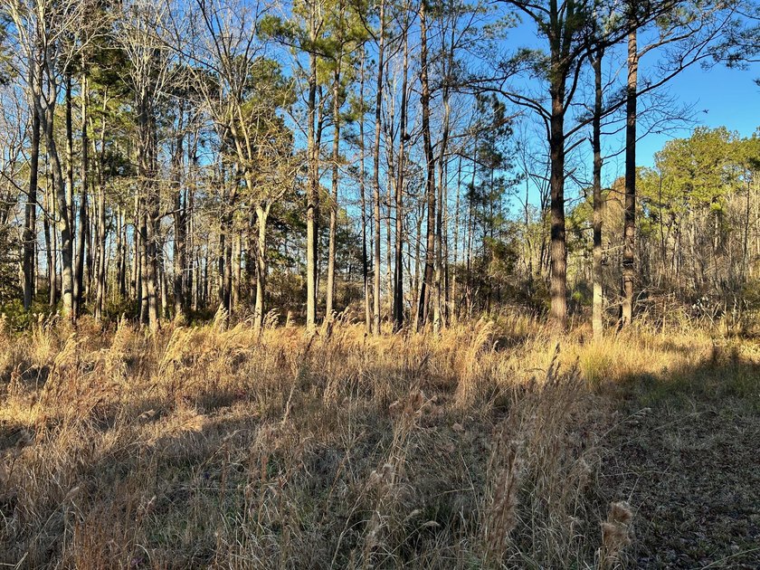 1.1 acre lot in desirable Pinopolis on Fanny Branch on Lake - photo 12