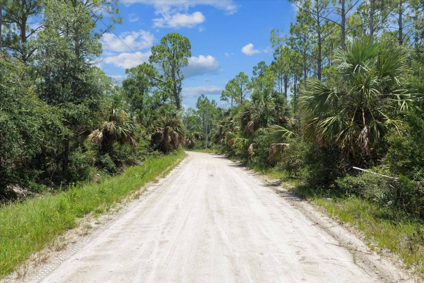 This expansive 81.58-acre property offers a unique blend of - photo 12