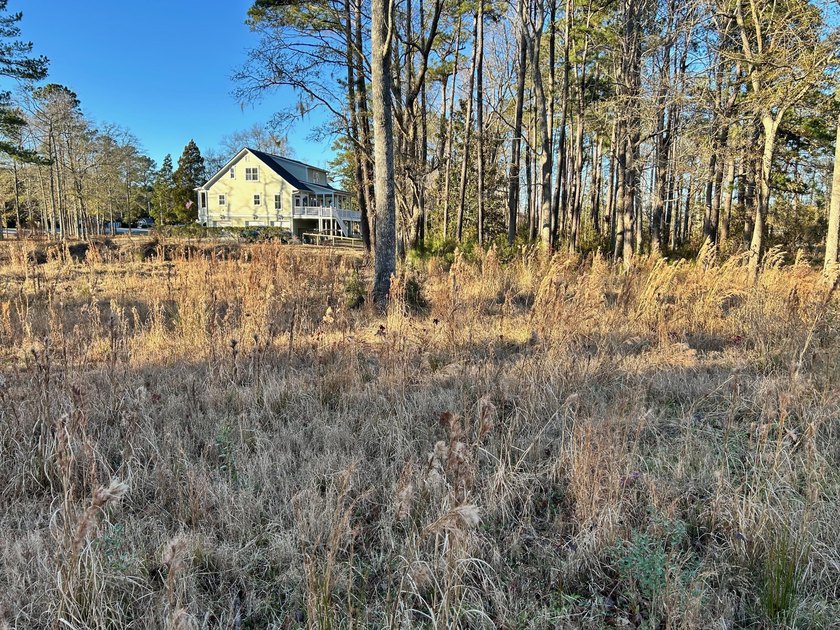 1.1 acre lot in desirable Pinopolis on Fanny Branch on Lake - photo 13