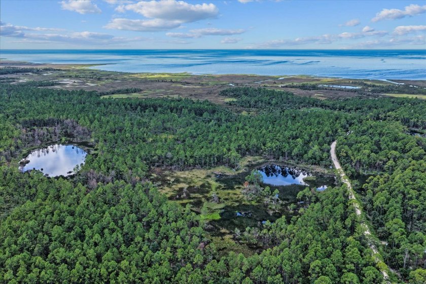 This expansive 81.58-acre property offers a unique blend of - photo 17
