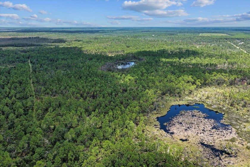 This expansive 81.58-acre property offers a unique blend of - photo 21