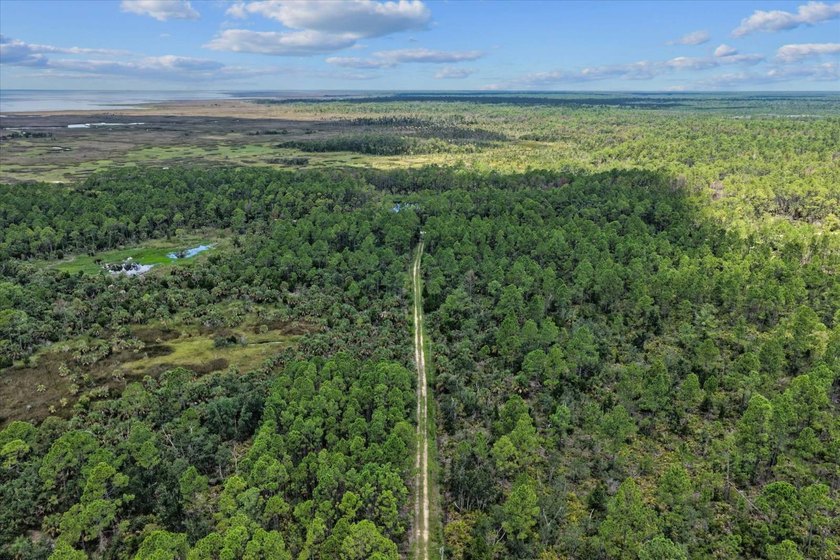 This expansive 81.58-acre property offers a unique blend of - photo 24