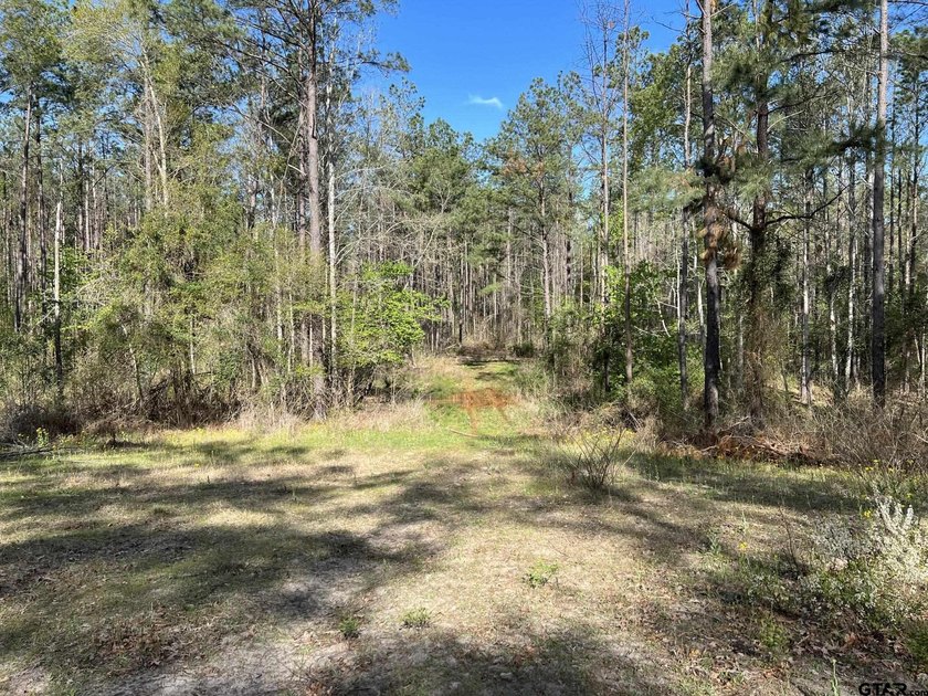 East Texas rural land for sale in Smith County. 74.586 acres of - photo 11