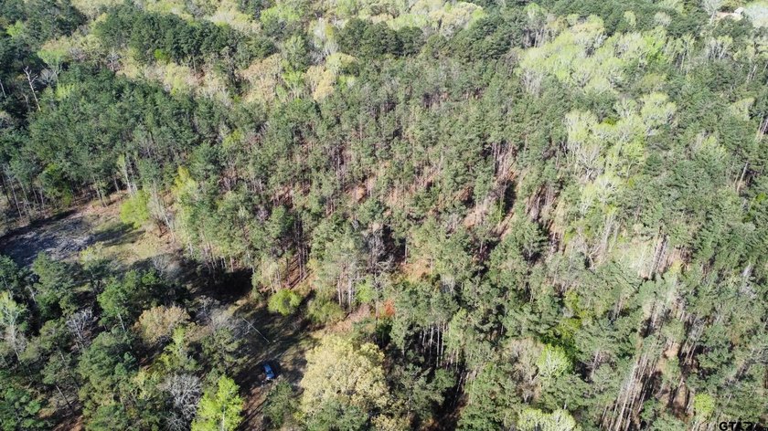 East Texas rural land for sale in Smith County. 74.586 acres of - photo 21