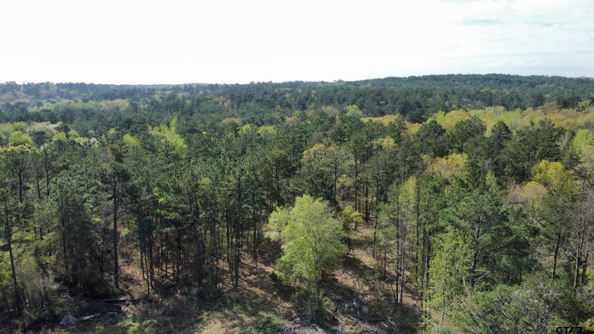 East Texas rural land for sale in Smith County. 74.586 acres of - photo 28