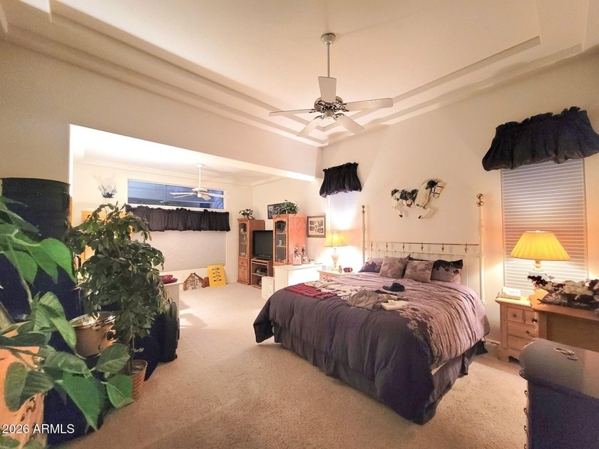 Did you say high ceilings? This 2,656 sq ft Avondale with its - photo 17