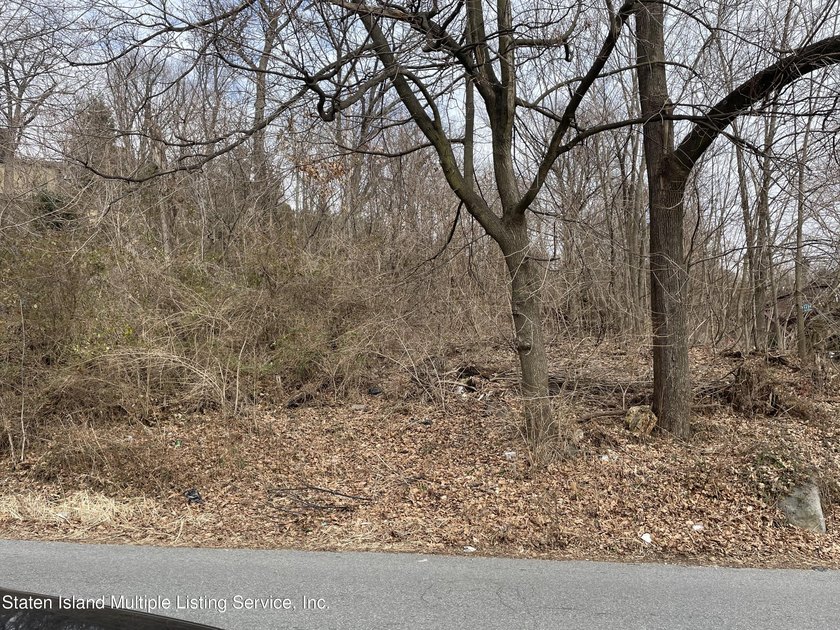 Raw land located on Grymes Hill - photo 2