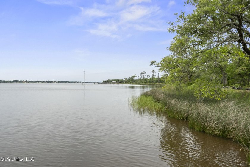 One of two Gorgeous lots with majestic oak in Biloxi's Back Bay - photo 11