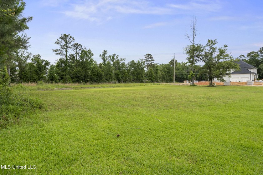 One of two Gorgeous lots with majestic oak in Biloxi's Back Bay - photo 12