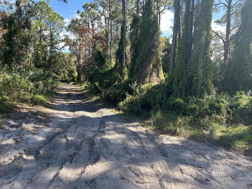 Prime corner lot in sought after subdivision. Build your dream - photo 2