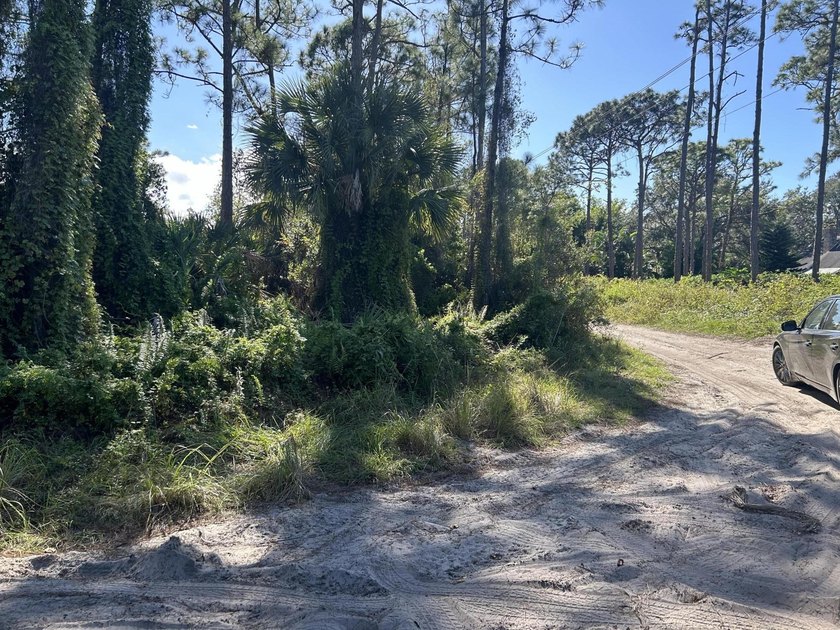 Prime corner lot in sought after subdivision. Build your dream - photo 4