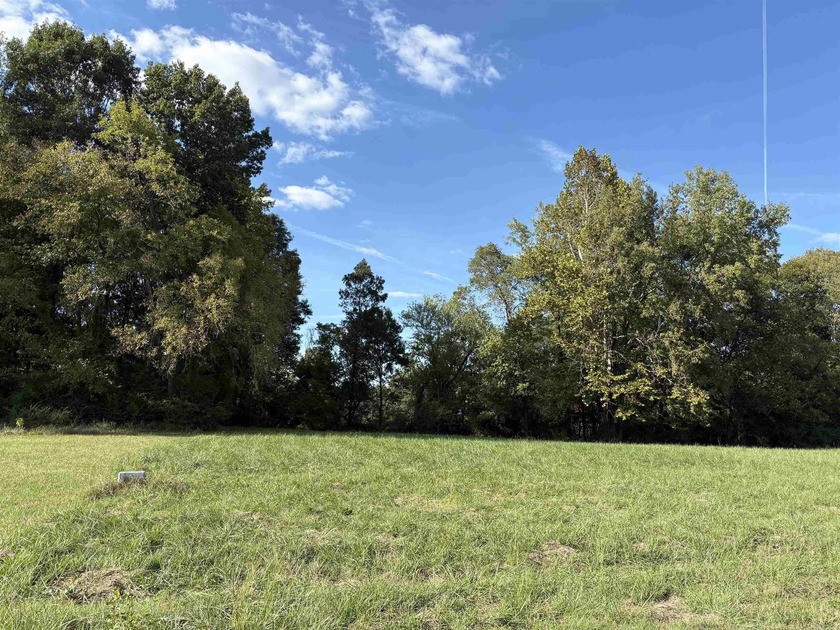 Build your home or weekend getaway on the Little Red River with - photo 3