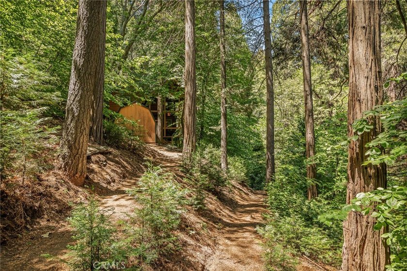 667 Dogwood Cyn - photo 39