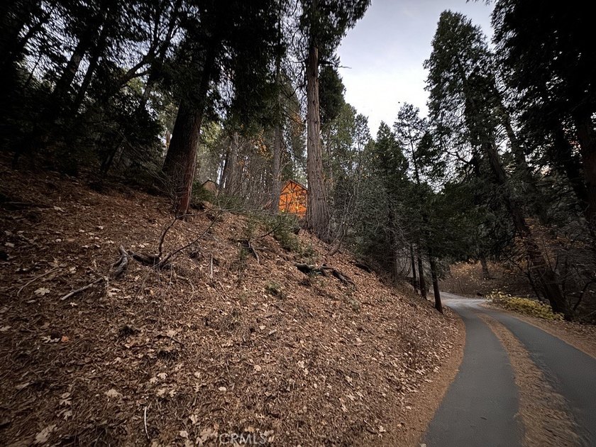 667 Dogwood Cyn - photo 47
