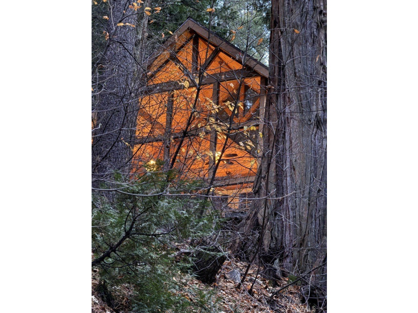 667 Dogwood Cyn - photo 48