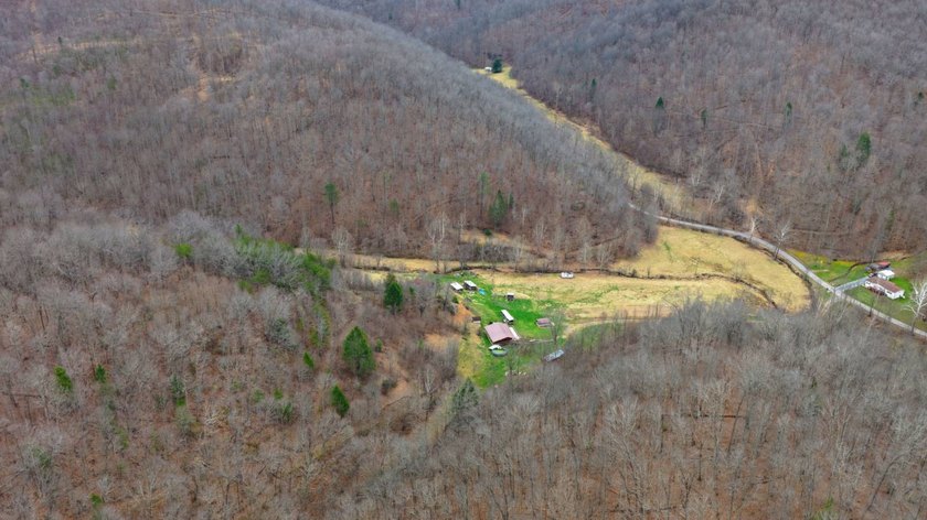 **Escape to Your Own Mini-Farm Paradise in Duck, West Virginia - - photo 23