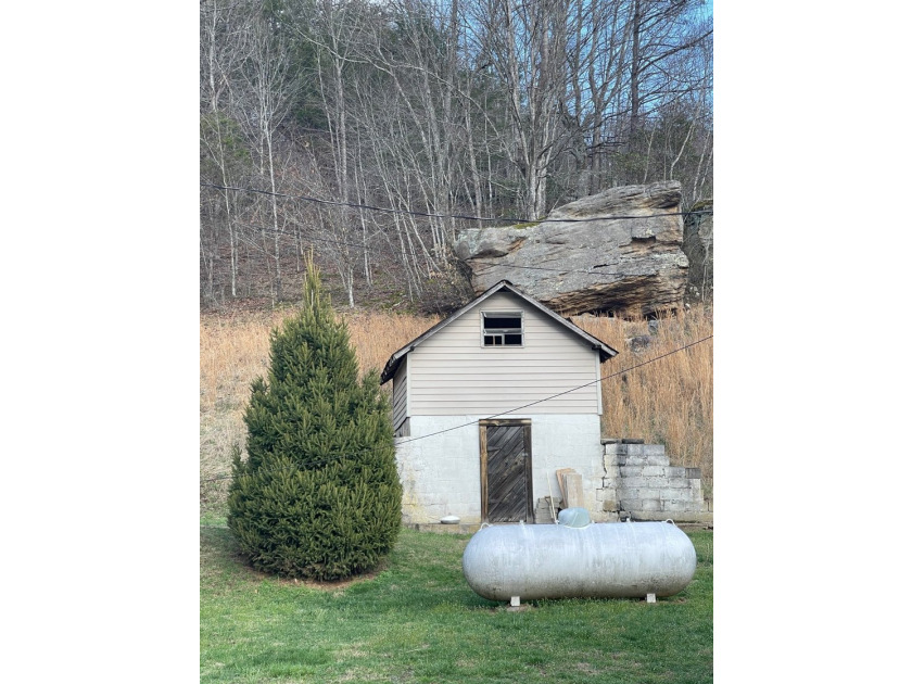 **Escape to Your Own Mini-Farm Paradise in Duck, West Virginia - - photo 39